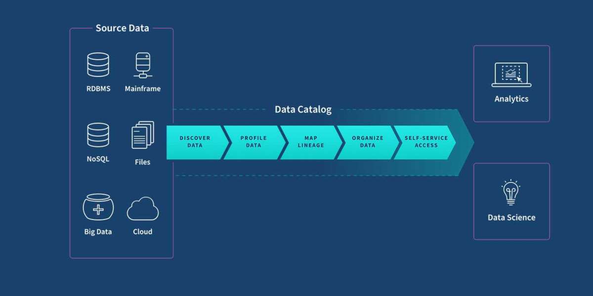 How Data Catalog Market Size is Shaping the Future of Enterprise Data Management